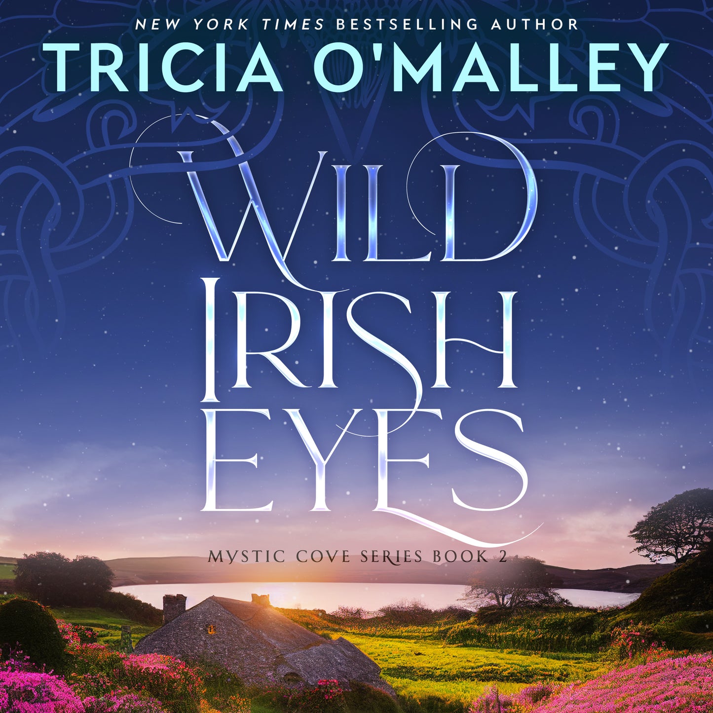 Wild Irish Eyes - Book 2 in The Mystic Cove Series - Audiobook